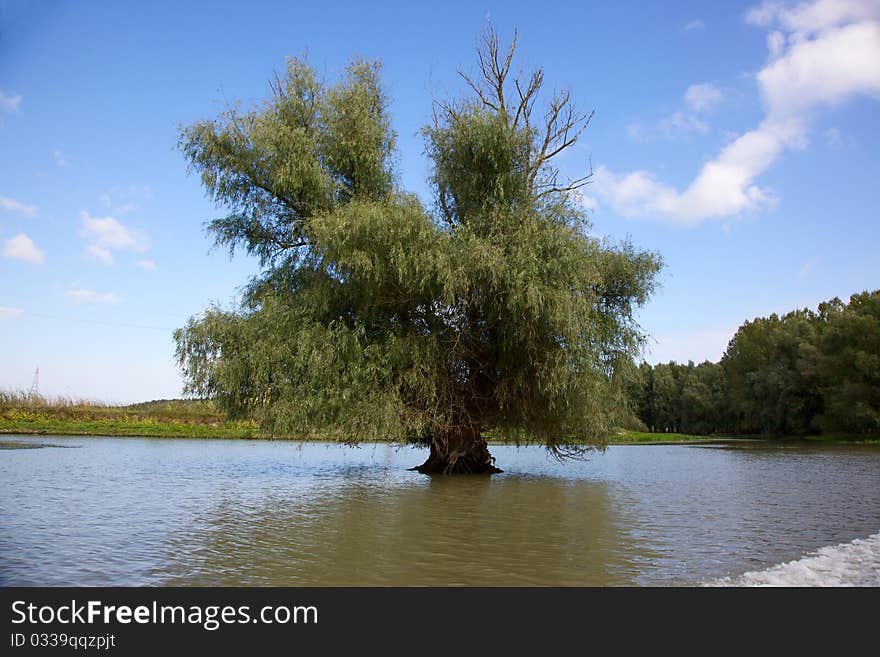 Channel in the Danube Delta, Romania