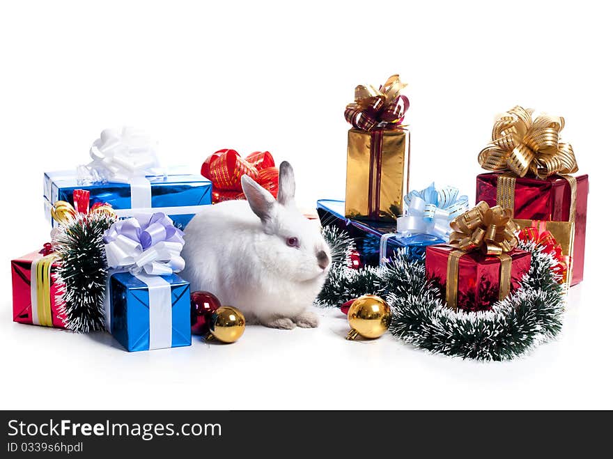 Rabbit with a fur-tree on a white background, is isolated.