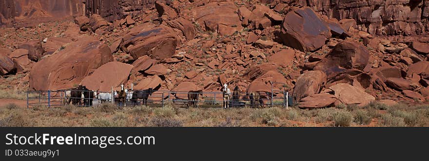 Horses in Monument Valley