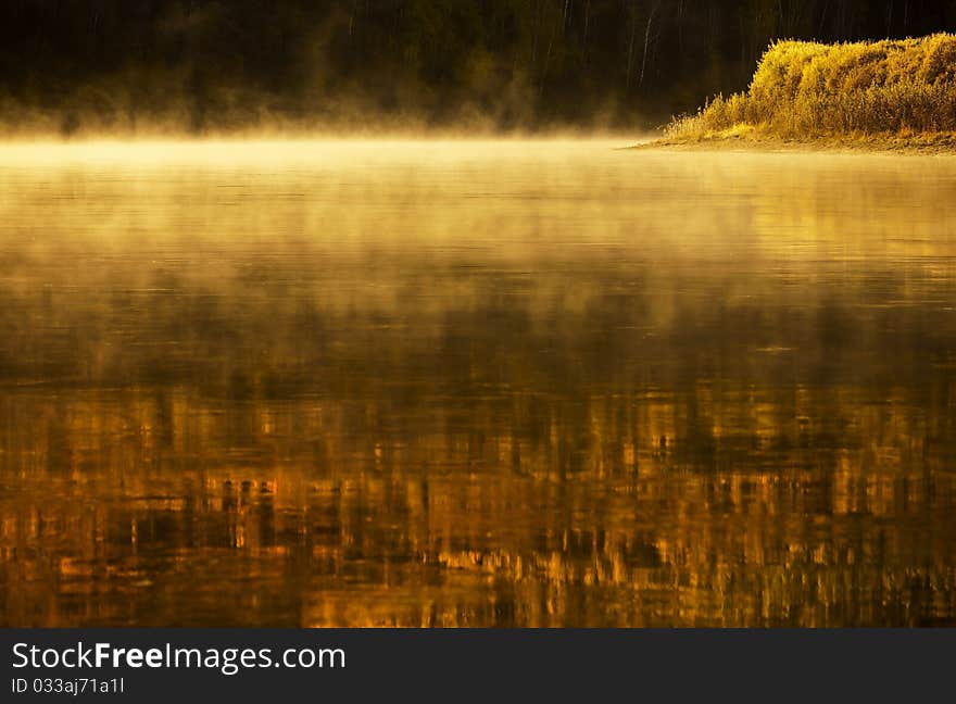 Beauty lake landscape with trees in fog. Beauty lake landscape with trees in fog