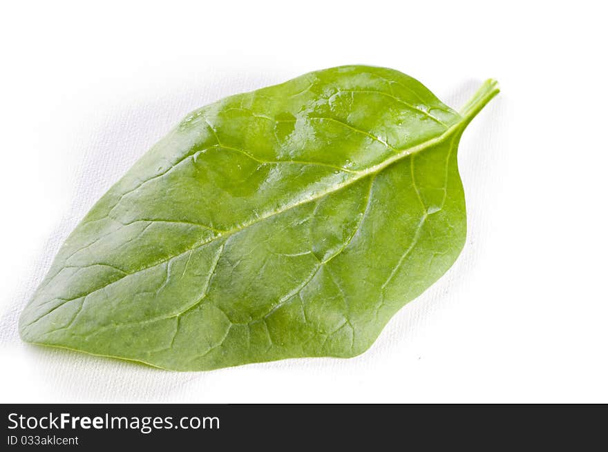 Fresh Spinach Leaves Over White