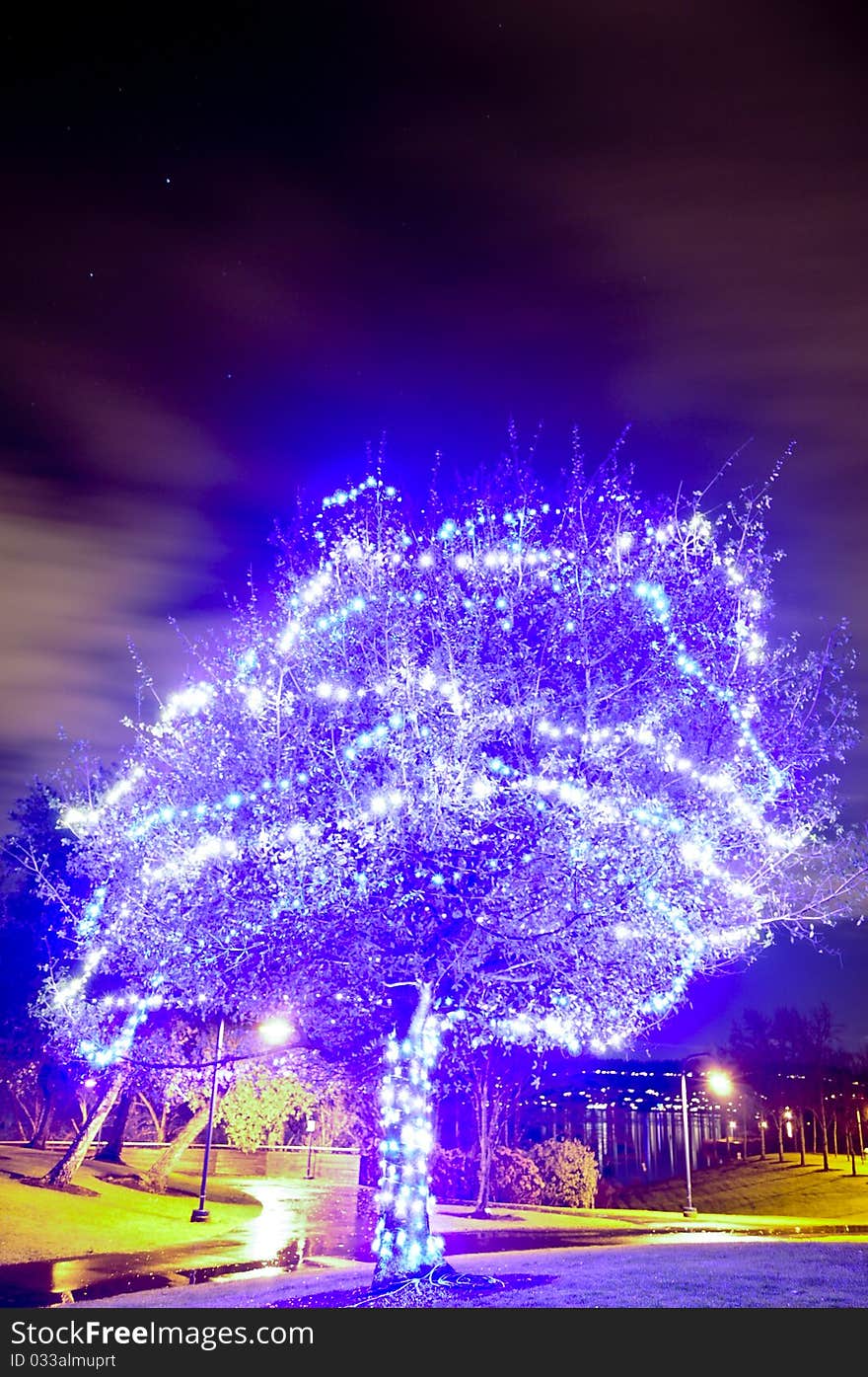 Blue illuminated tree on the Lake Washington. Blue illuminated tree on the Lake Washington