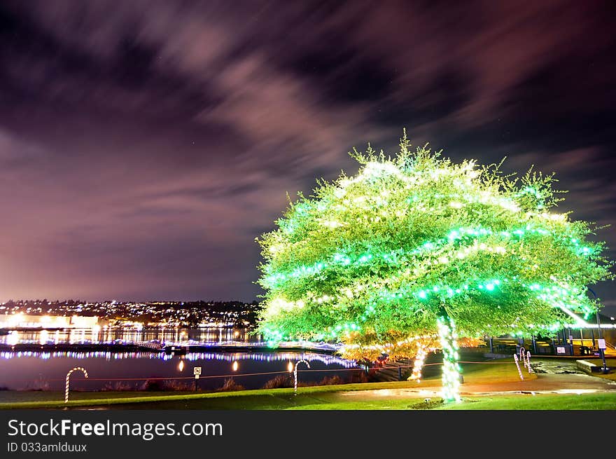 Green illuminated tree on the Lake Washington. Green illuminated tree on the Lake Washington