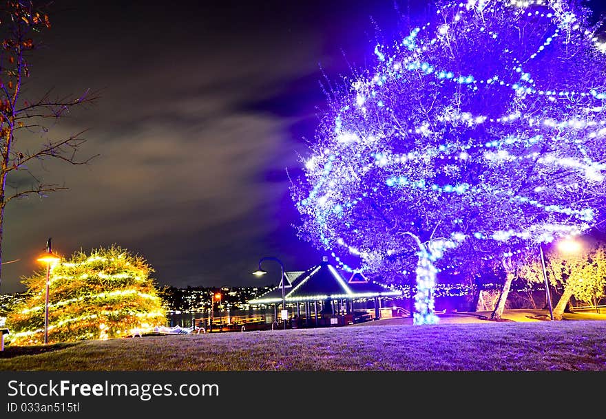 Decorated tree on the Lake Washington at night. Decorated tree on the Lake Washington at night