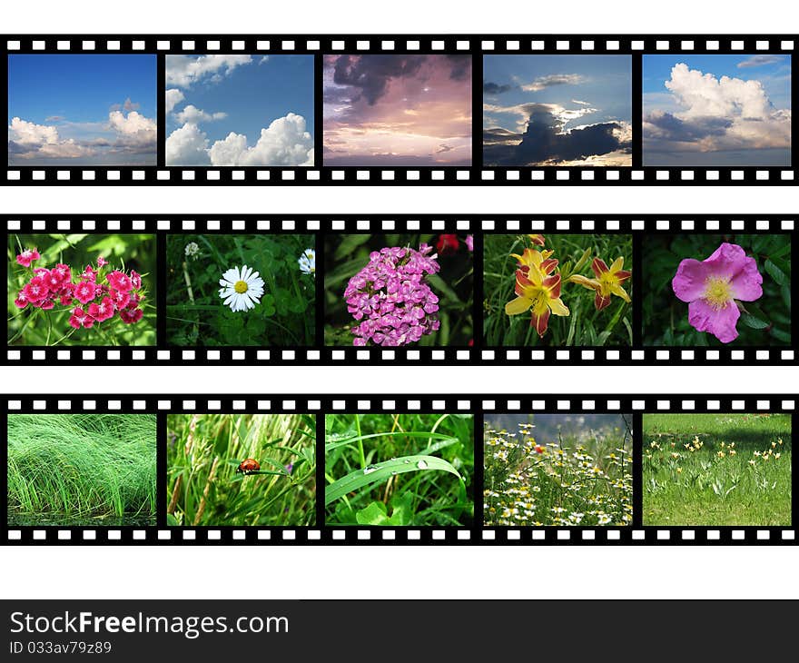 Films with images of nature