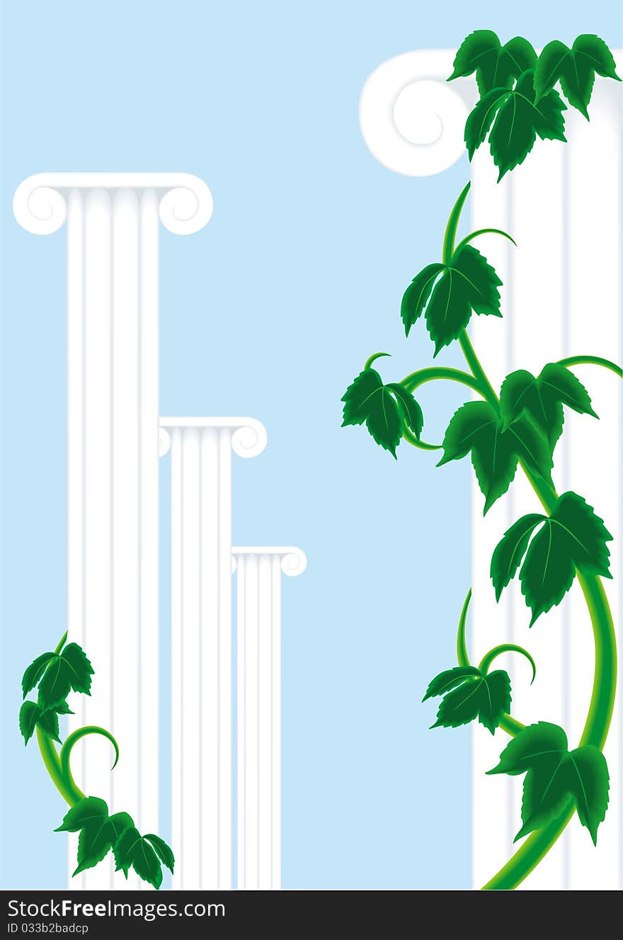 Vine twists on white ancient columns. Vine twists on white ancient columns