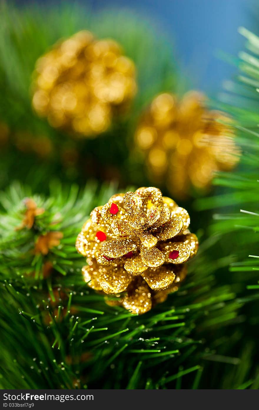 Branch of Christmas tree with pinecone