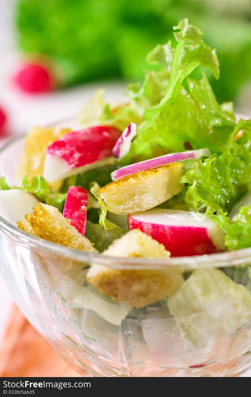 Delicious fresh salad with lettuce leaves, radishes and croutons. Delicious fresh salad with lettuce leaves, radishes and croutons