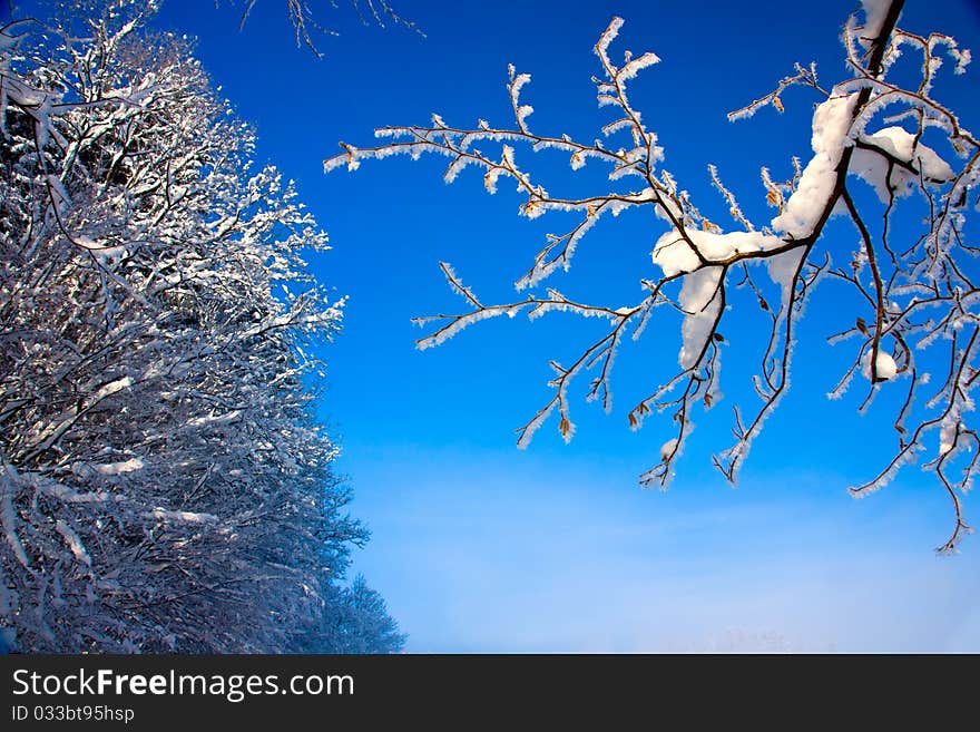 Snow covered winter landscape on a beautiful sunny day. Snow covered winter landscape on a beautiful sunny day.