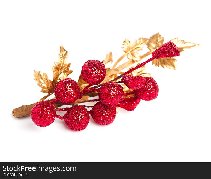 European holly isolated on white background