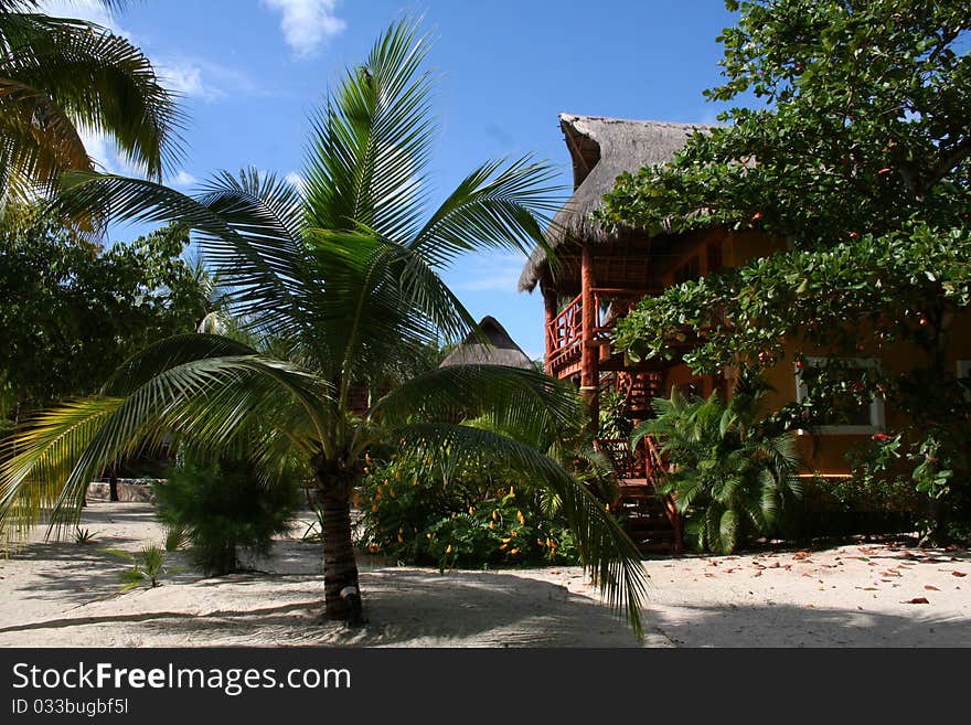 Palapas at Hotel Mahekal in Playa del Carmen, South of Cancun - Mexico. Palapas at Hotel Mahekal in Playa del Carmen, South of Cancun - Mexico