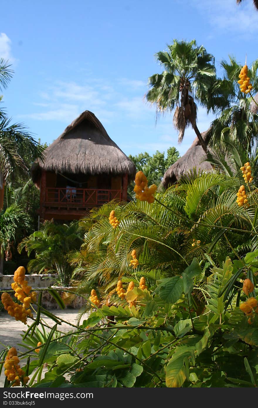 Palapa in Playa del Carmen - Mexico