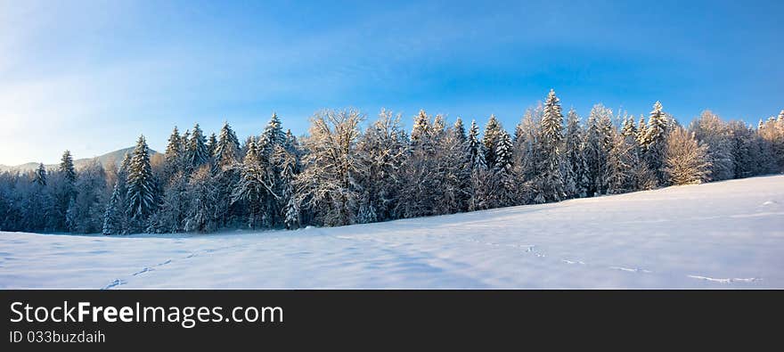 Snow covered winter landscape on a beautiful sunny day. Snow covered winter landscape on a beautiful sunny day.