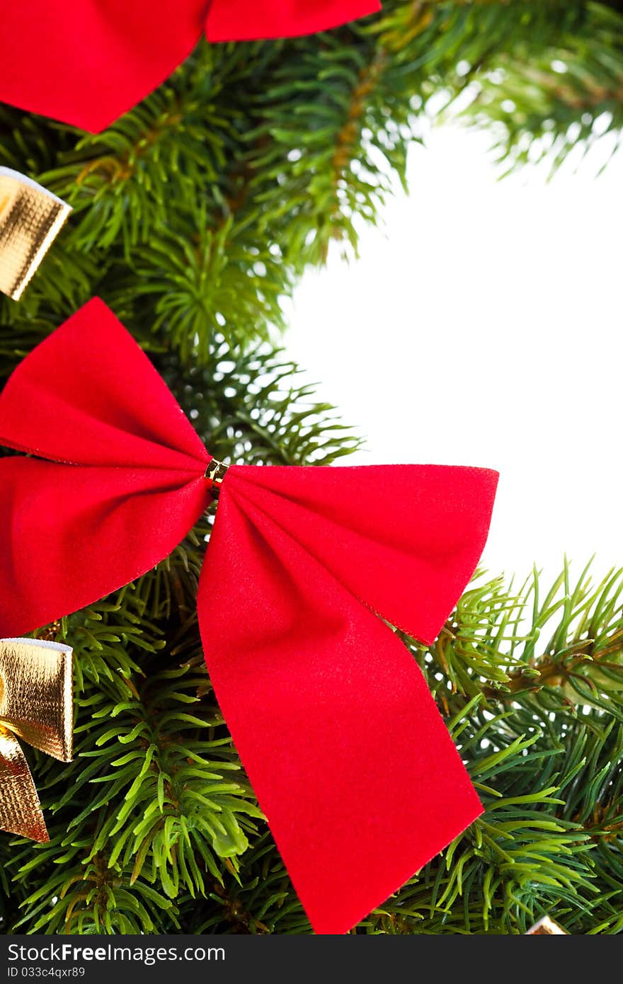 Branch of Christmas tree with ribbon