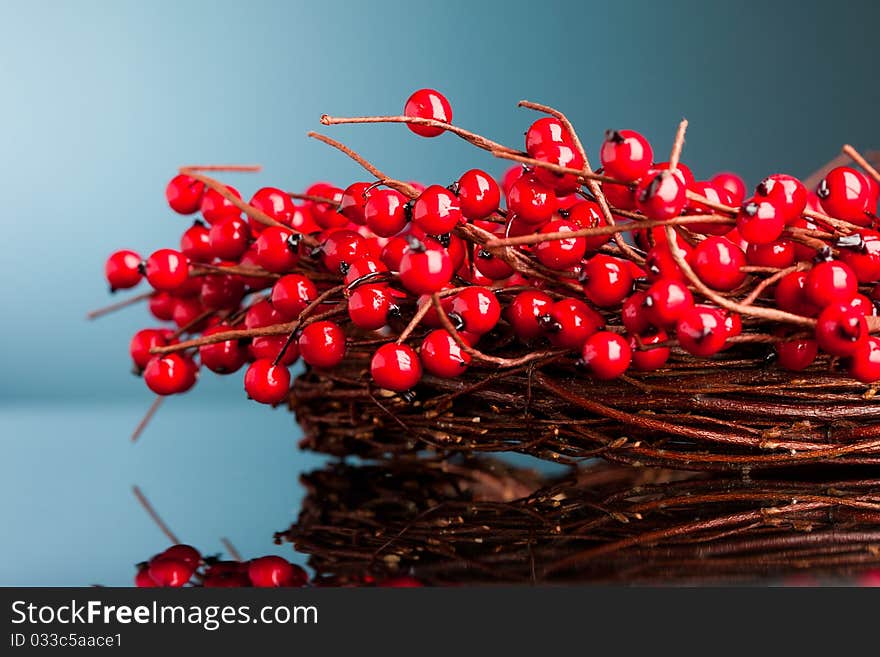 Red european holly (shallow DOF )