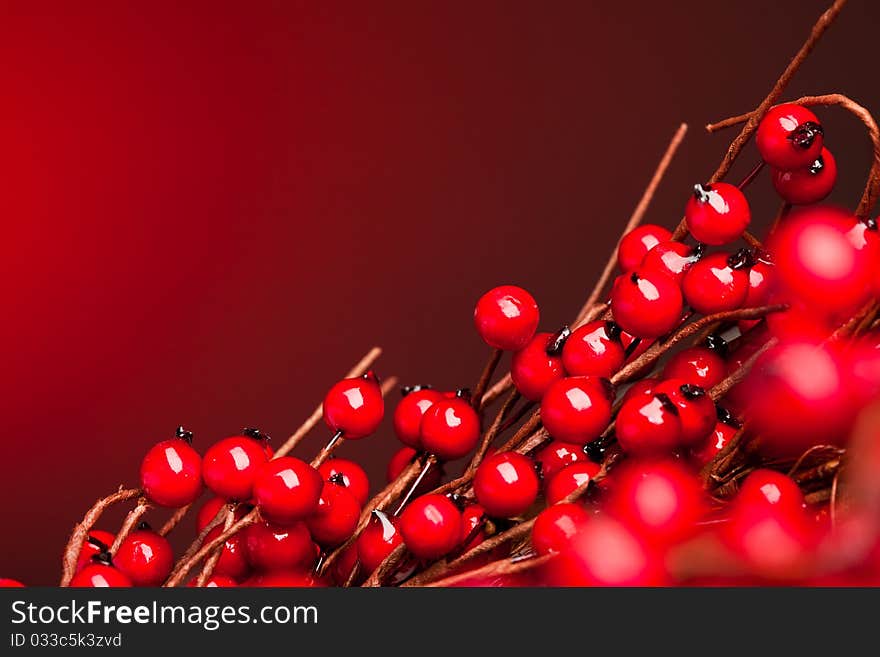 European holly on red background (shallow DOF)