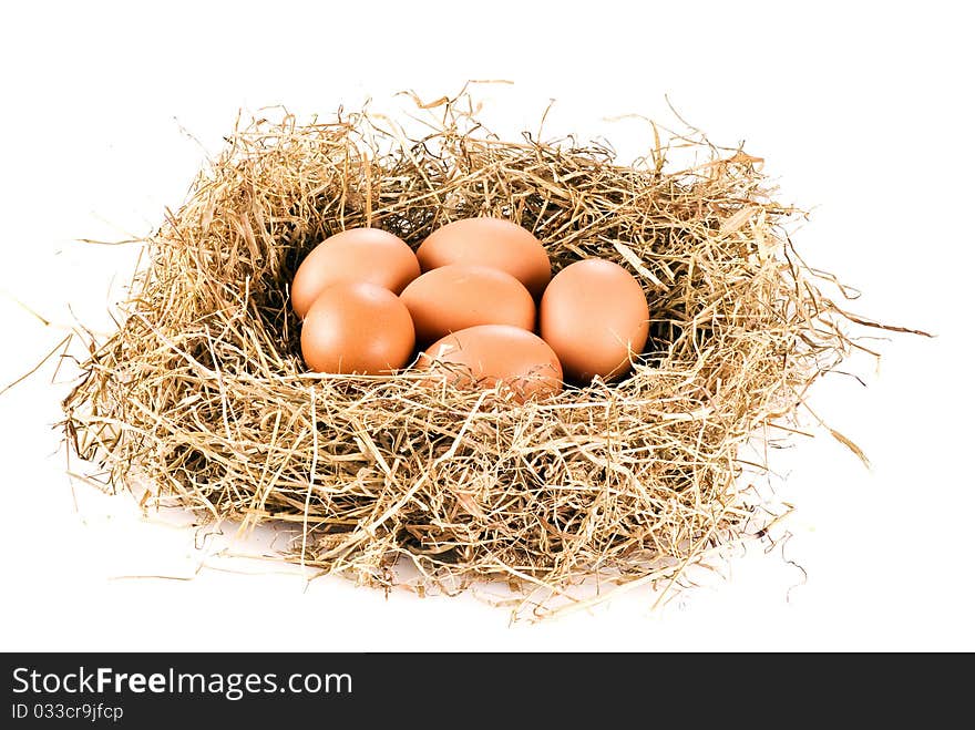 Fresh farm eggs in hay over white background. Fresh farm eggs in hay over white background