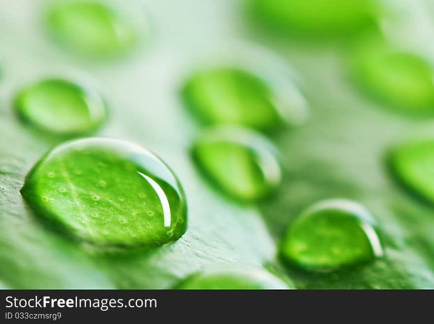 Green leaf background with raindrops