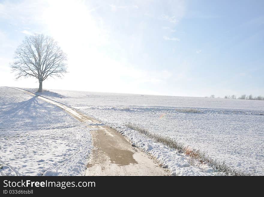 Winter landscape in bright sunlight. Winter landscape in bright sunlight