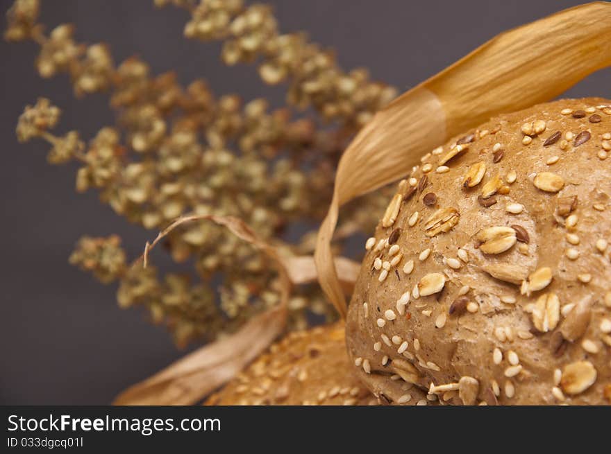 Flour and wholemeal bread with plant cells. Flour and wholemeal bread with plant cells