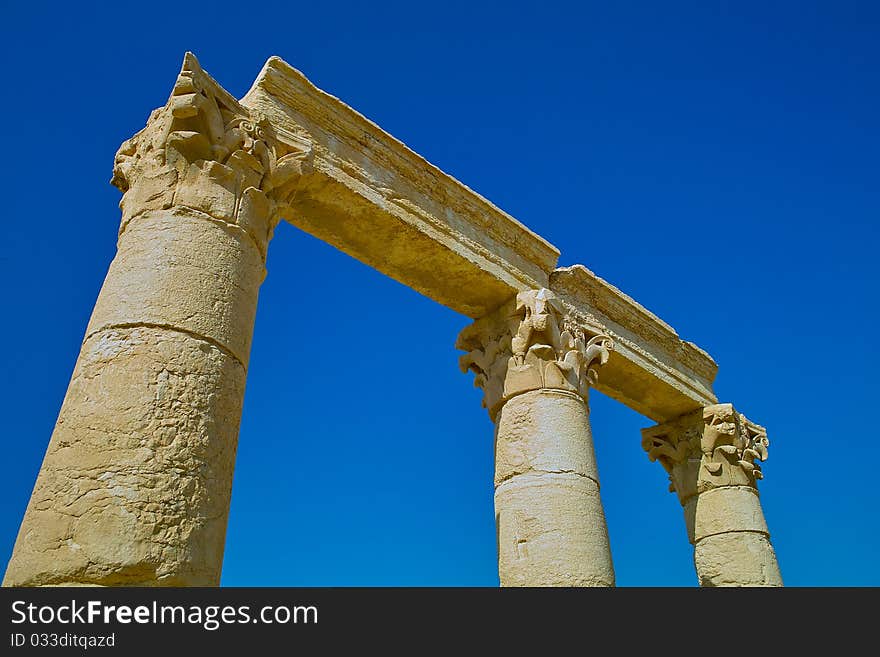 Pillars in the Sun Palmyra Syria