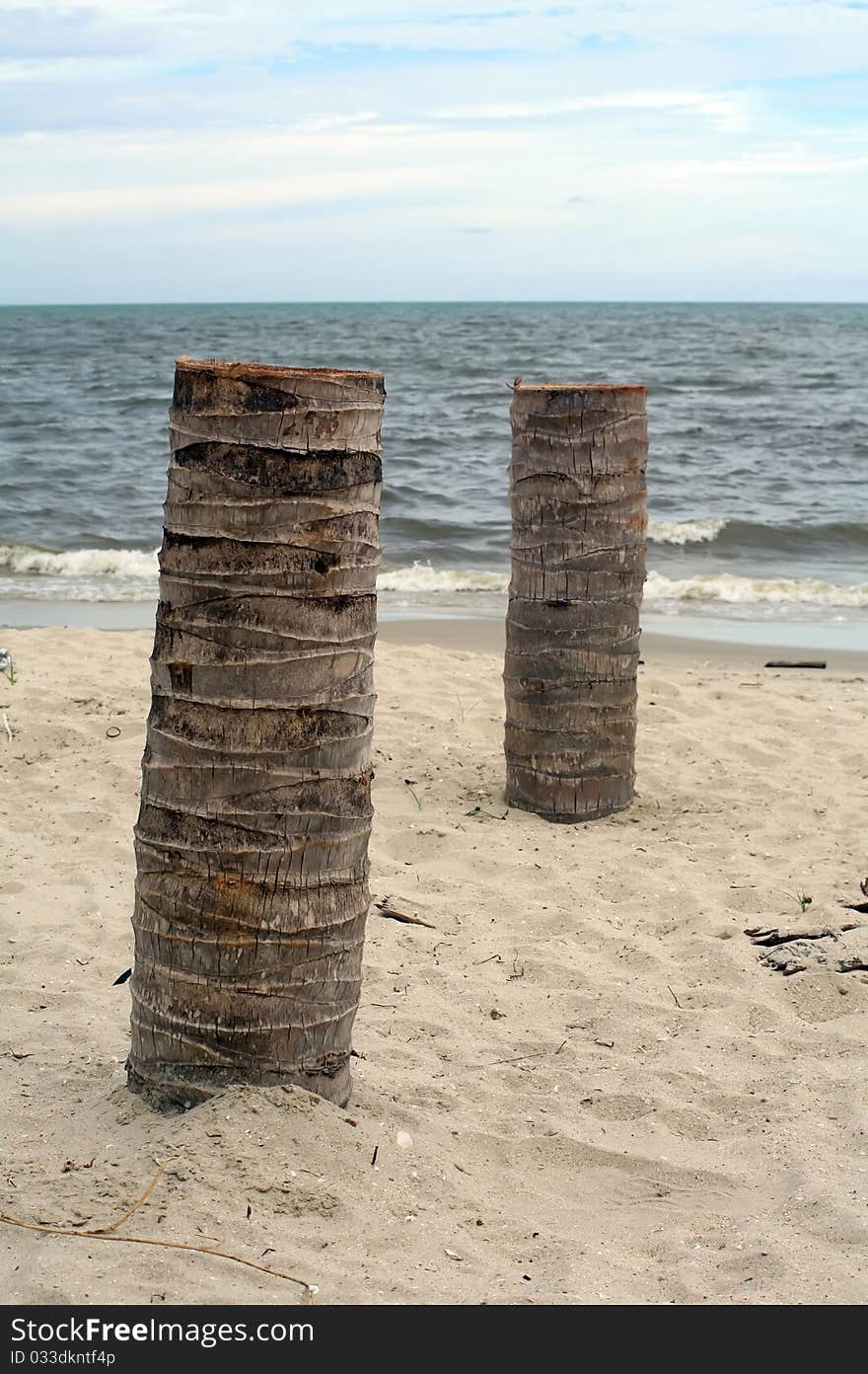 Timber on the beach