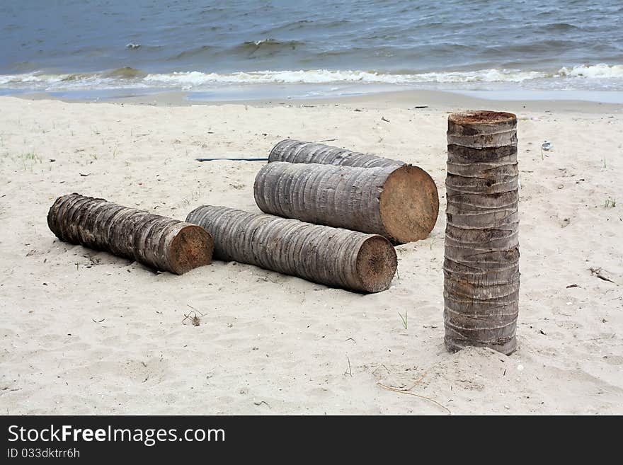 Timber on the beach