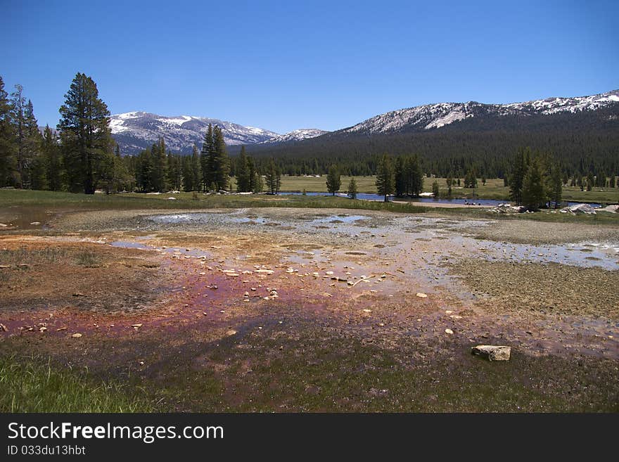 Soda Springs, Yosemite NP