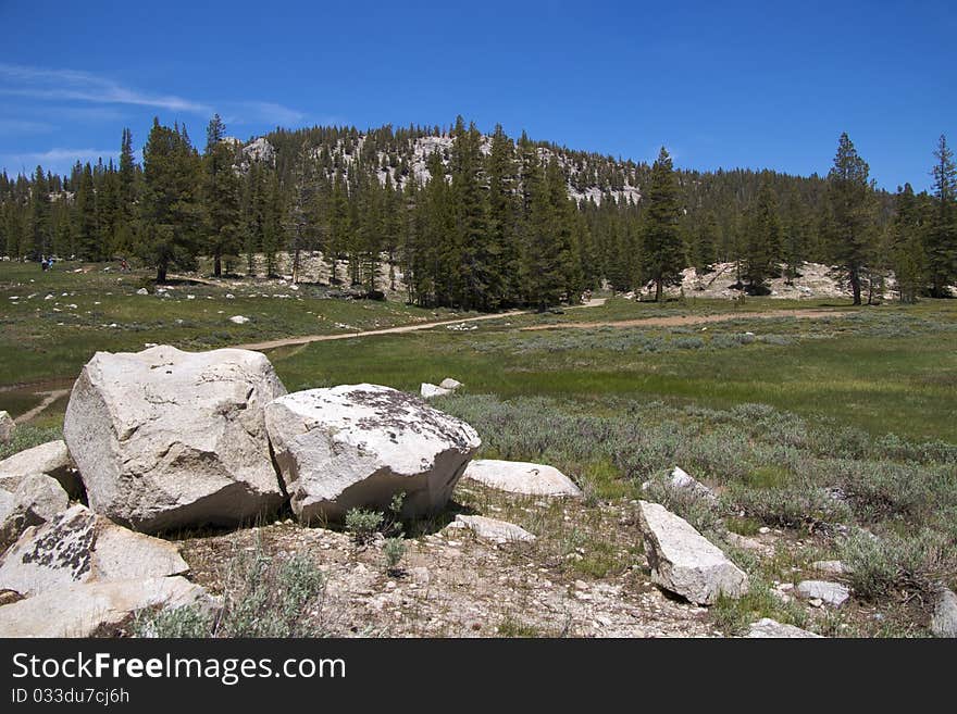 Soda Springs, Yosemite NP