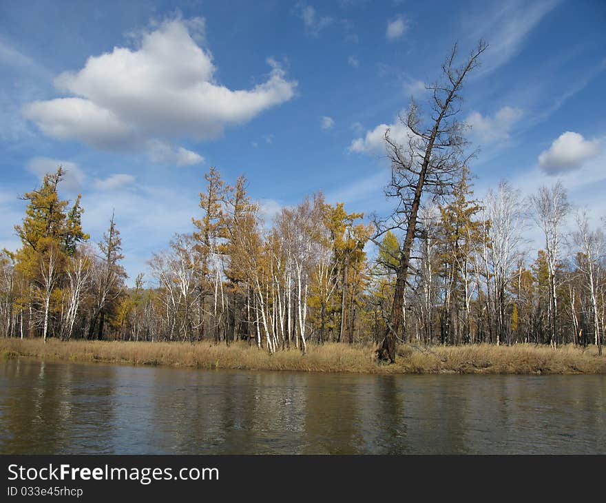 River on mongolian wild nature