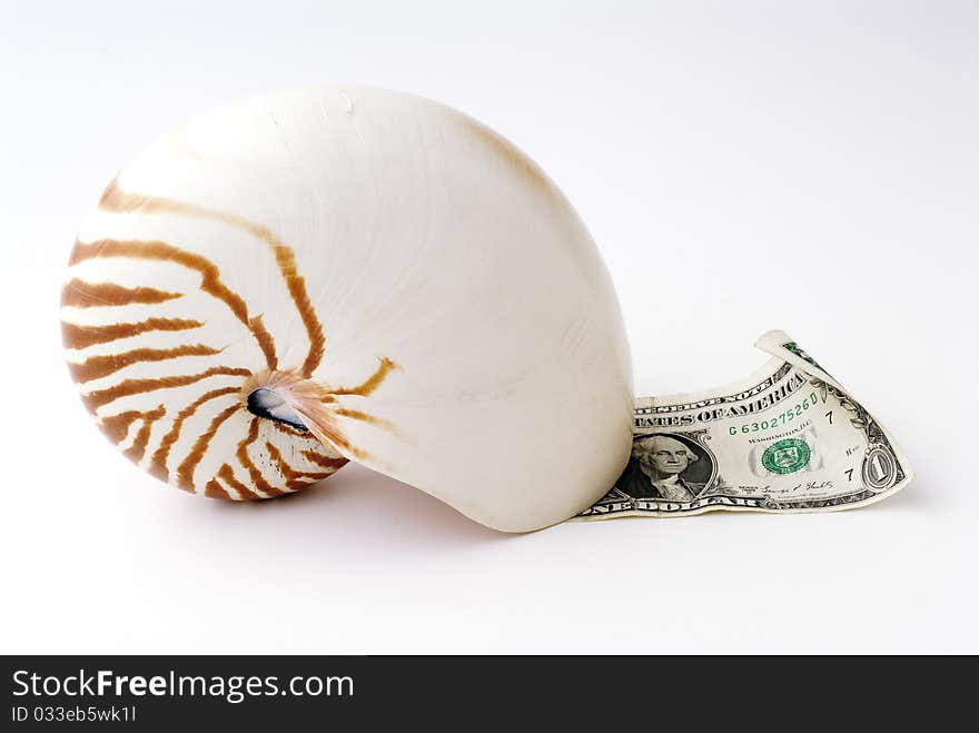 Snail money