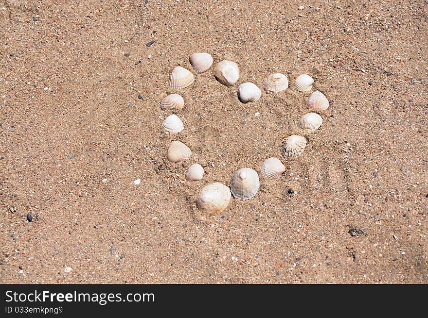 Heart built from different Bivalvia at the beach