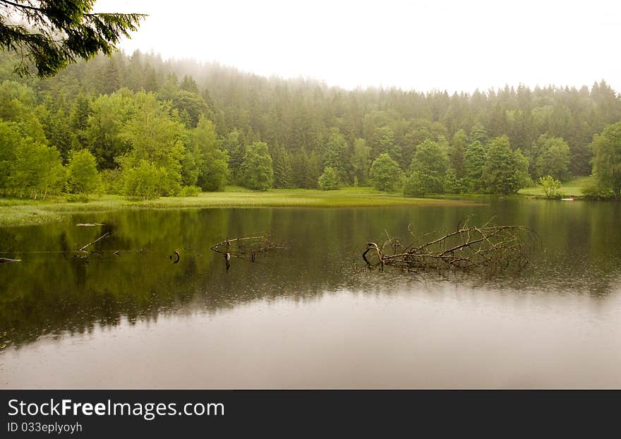 Rain and fog at a forest lake in the Black Forest. Rain and fog at a forest lake in the Black Forest