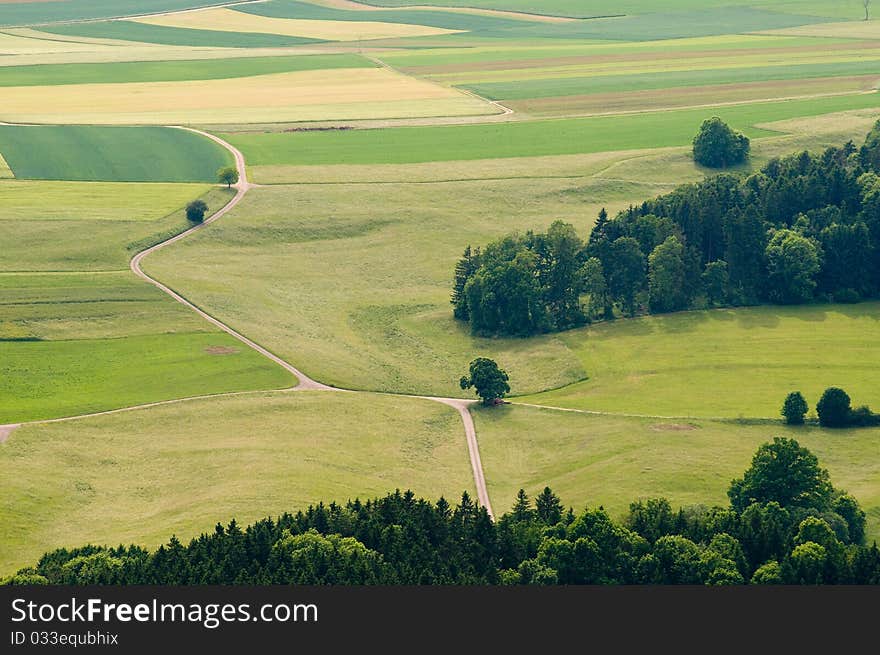 Meadows and forest