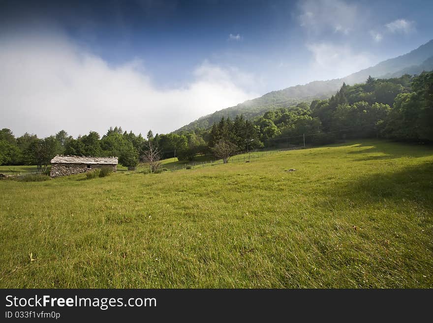 The house in the meadow