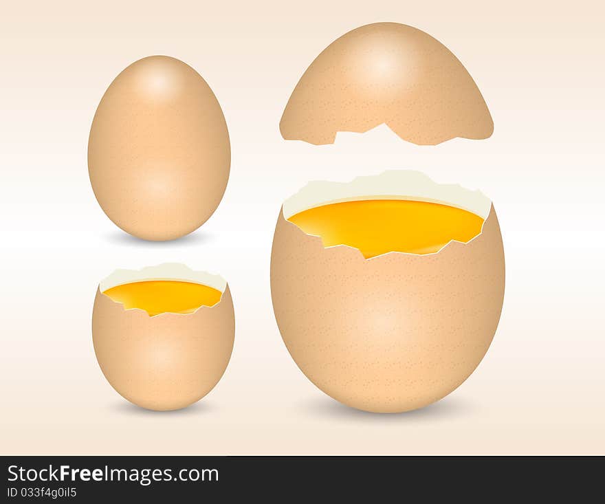 Eggs isolated on white background