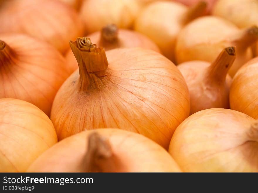 Onion Background