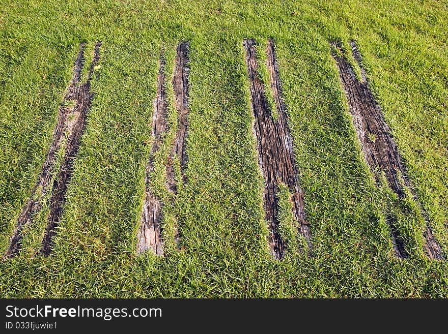 Grass growing along wooden walkway