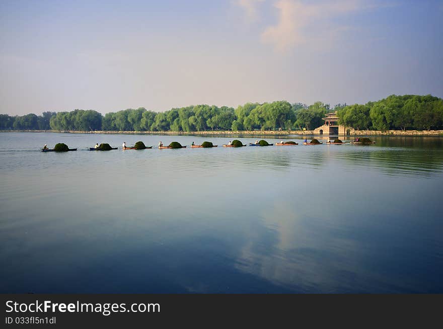 Every autumn,people always get rid of weeds in the Sunmmer Palace lake . Every autumn,people always get rid of weeds in the Sunmmer Palace lake .