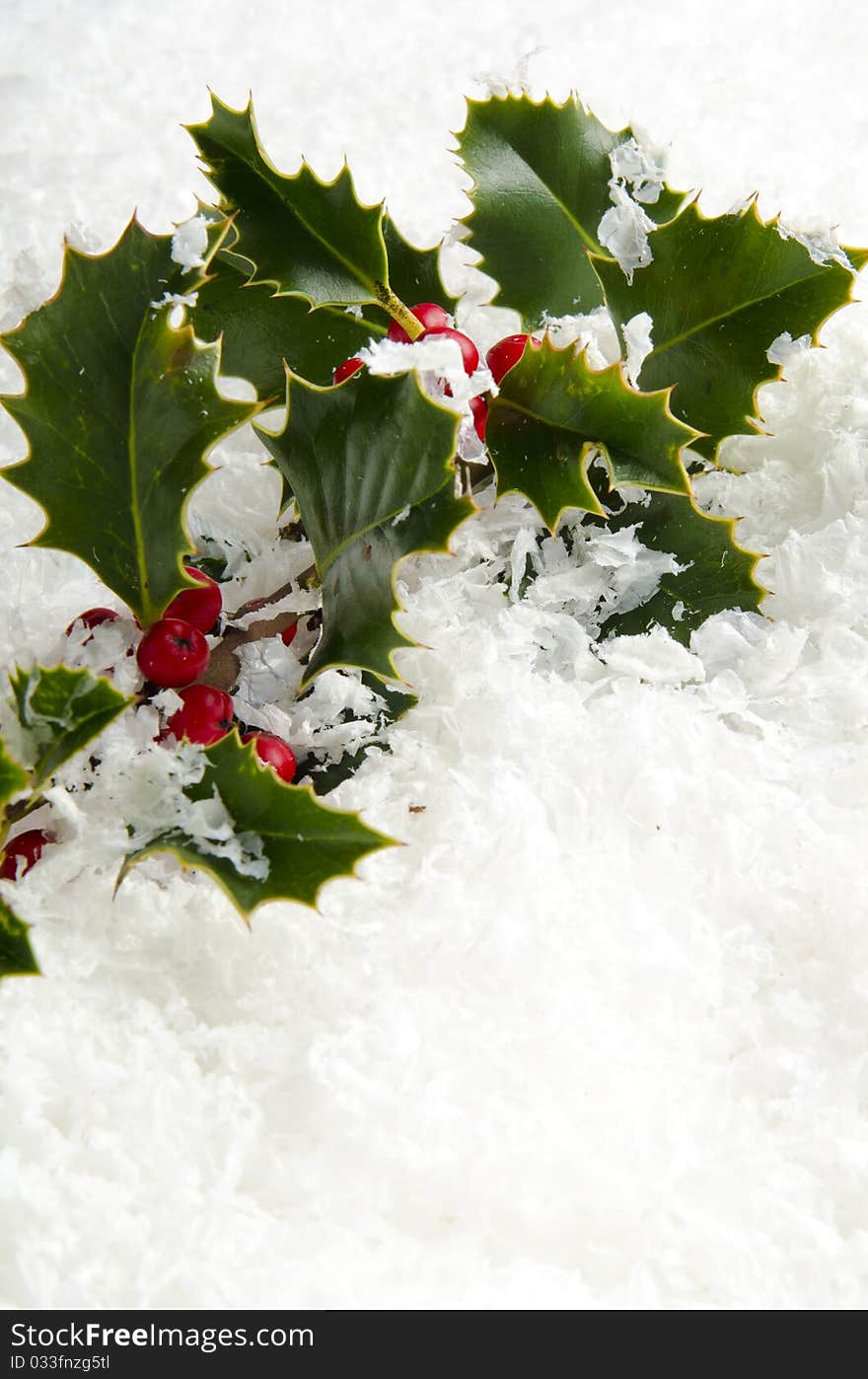 Holly with red berries in snow with sparkling background