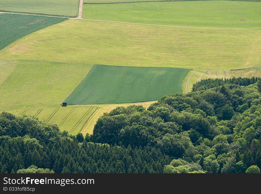 Forest and grassland in summer in the Black Forest seen with birds eye view. Forest and grassland in summer in the Black Forest seen with birds eye view