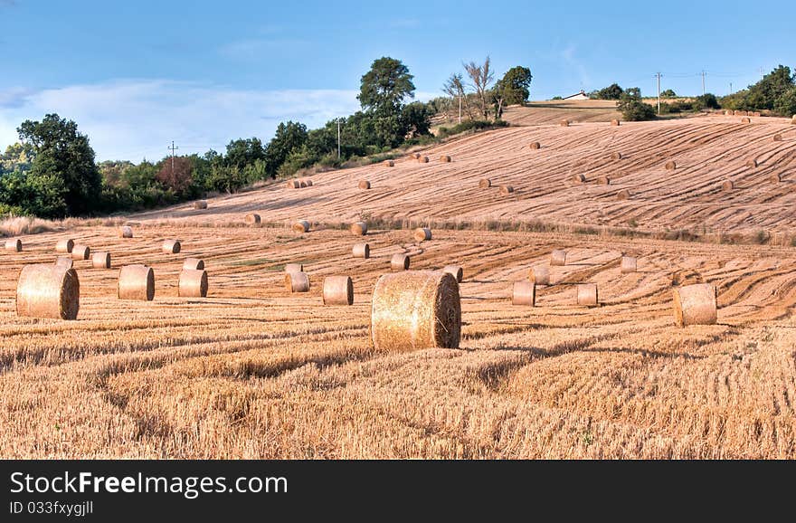 Hay bales in early morning in Italian field