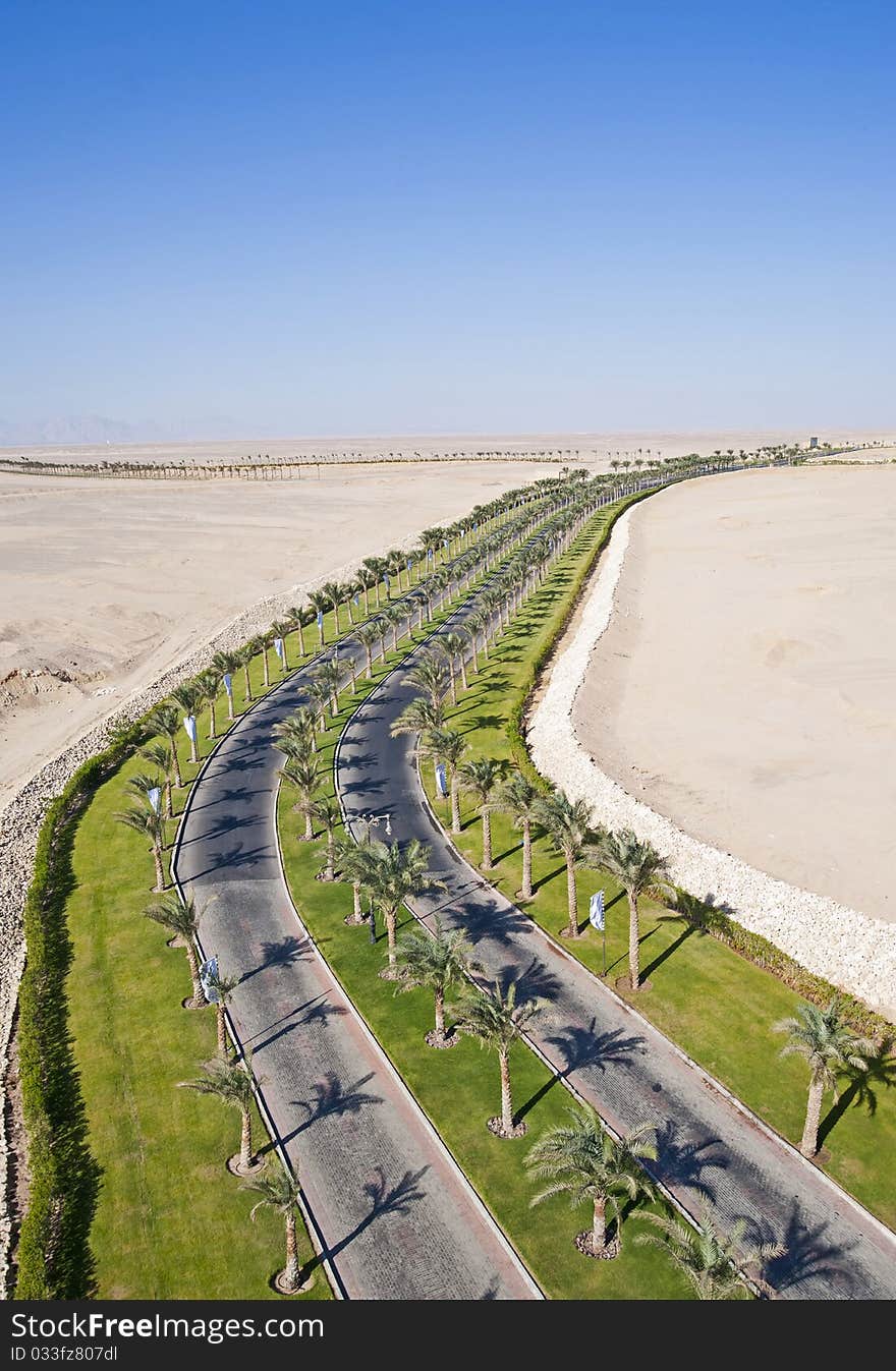 Road Through A Desert