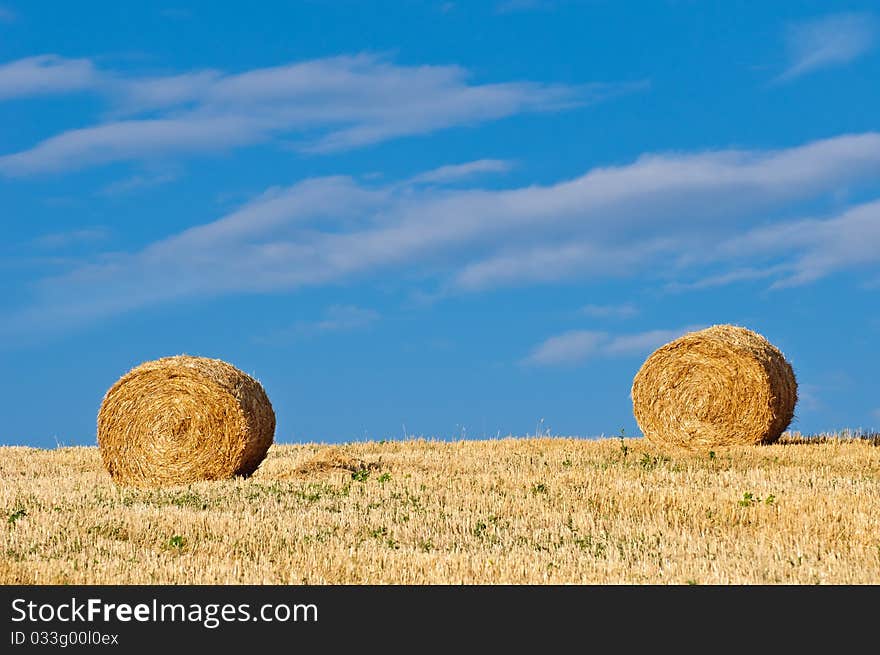 Golden hay bales in field