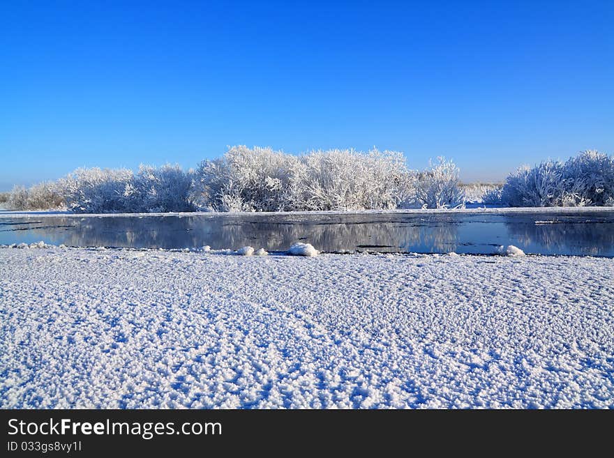 Snow bushes near winter river