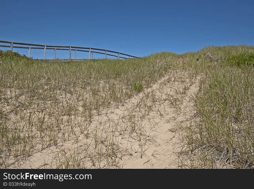 Sand Dune