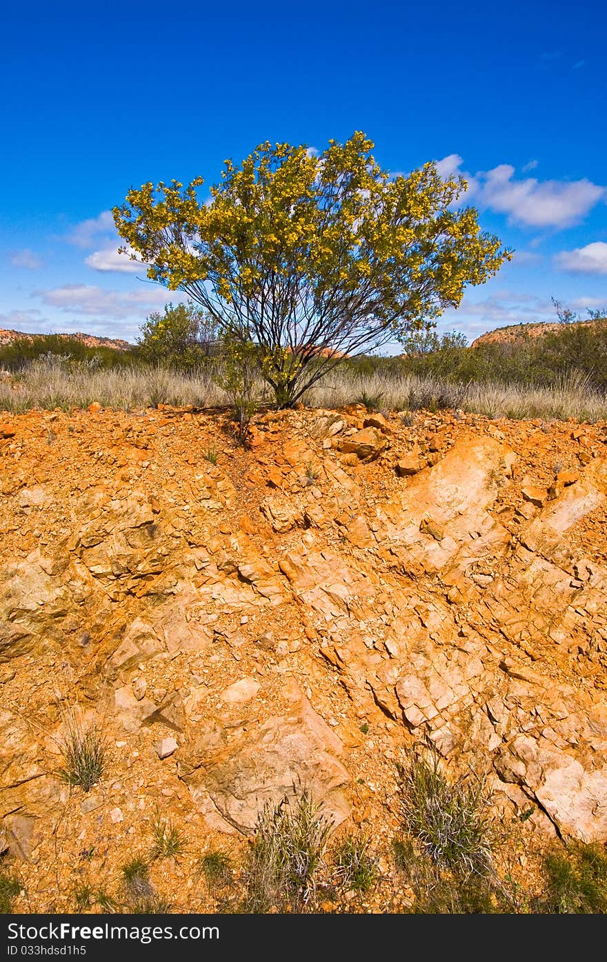 Bush and road on the outback, northern territory australia. Bush and road on the outback, northern territory australia