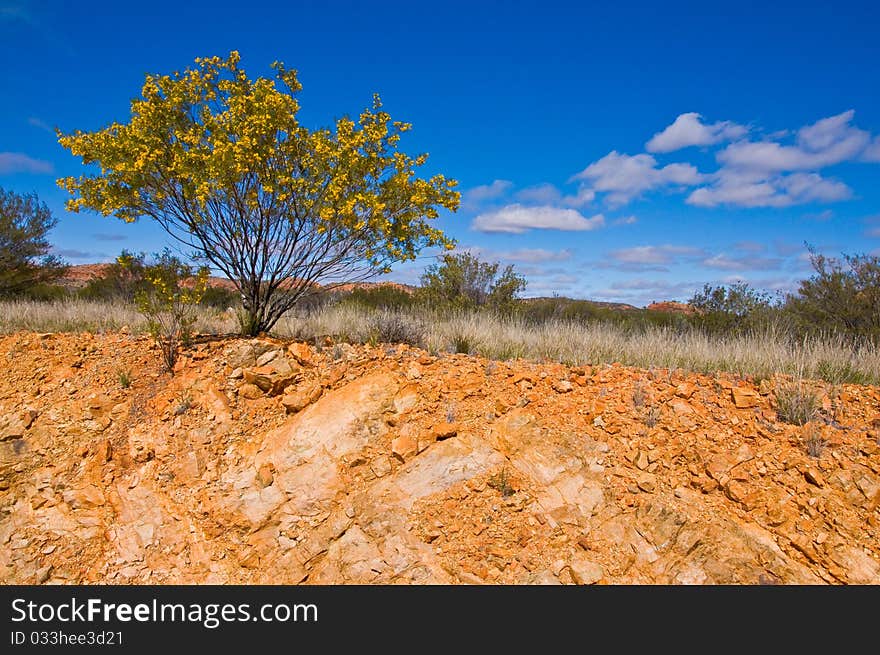 Australian outback