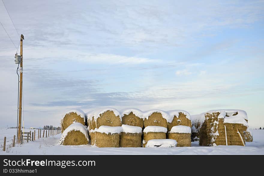 A lonely hawk sits on a telephone pole next to some round hay bales at a farm in Montana. A lonely hawk sits on a telephone pole next to some round hay bales at a farm in Montana.