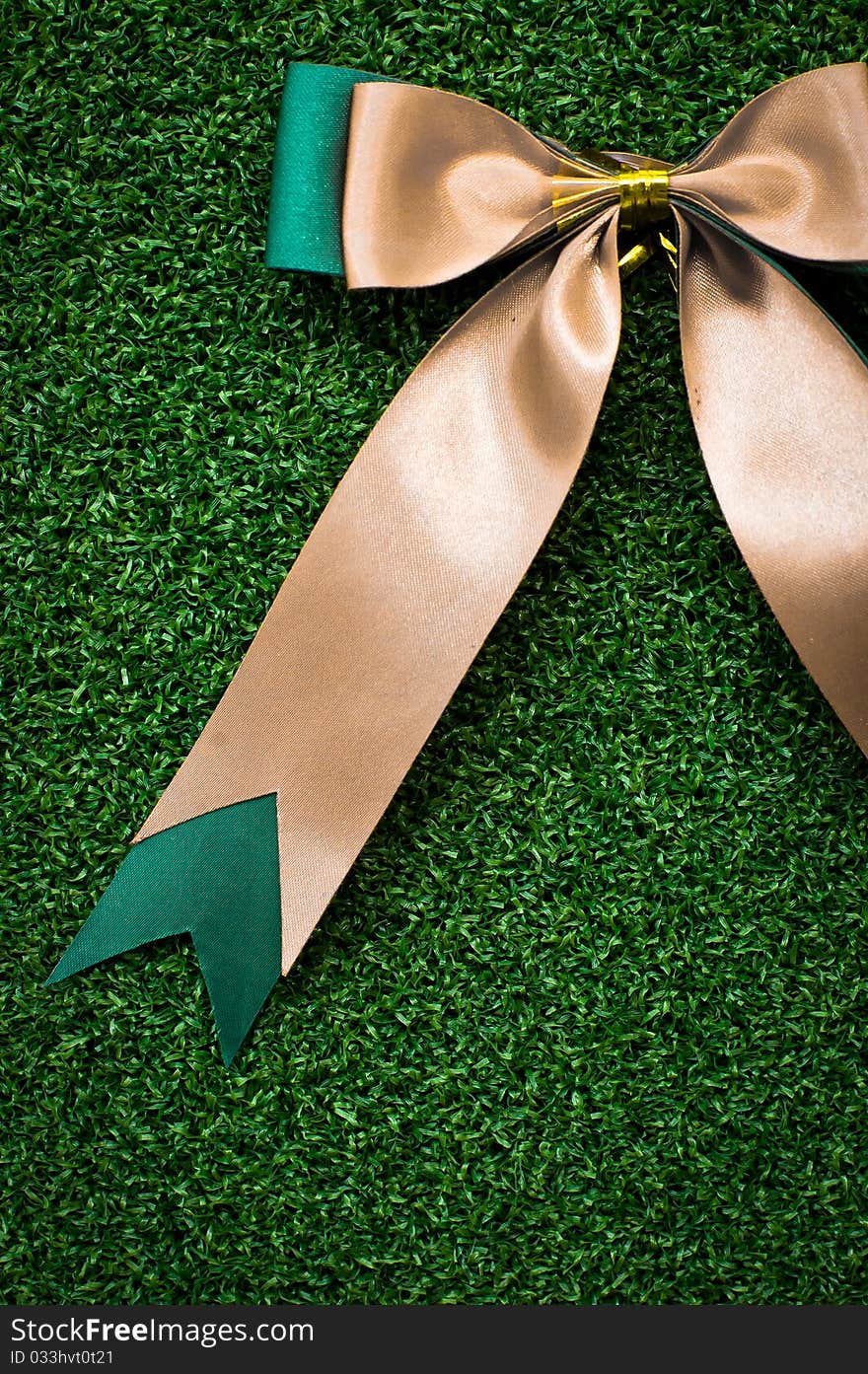 Gift Bow on green grass background